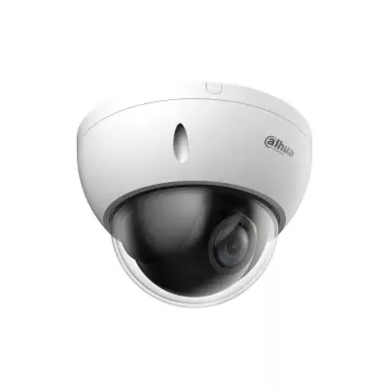 Dahua Technology WizSense SD22204DB-GNY cámara domo IP de vigilancia interior y exterior 1920 x 1080 píxeles montaje en techo