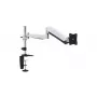 Soporte de sobremesa Equip para monitor articulado de 13–27 inch