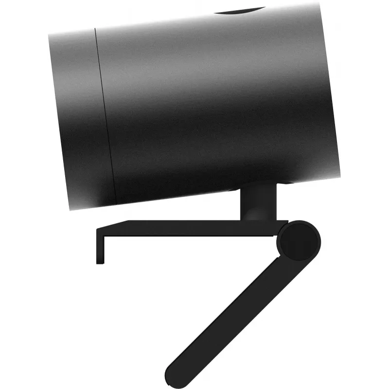 iiyama UC-CAM10PRO-1 Webcam 8.46 MP 2160 x 1080 píxeles USB-C Negro