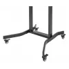 Carro móvil motorizado para pantallas LFD Equip 55