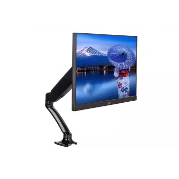 iiyama DS3001C-B1 Soporte de monitor / pie 68,6 cm (27