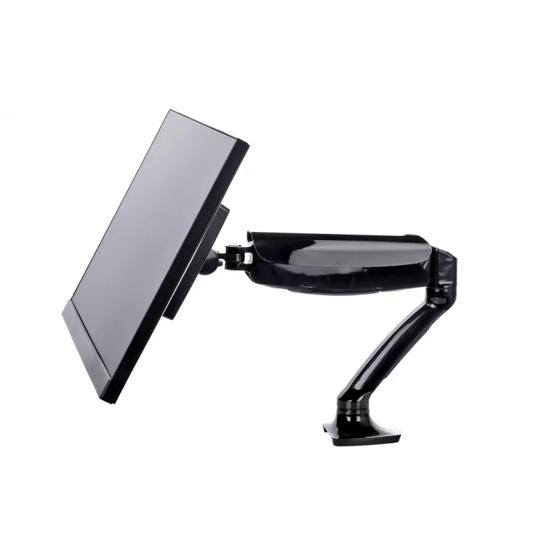 iiyama DS3001C-B1 Soporte de monitor / pie 68,6 cm (27