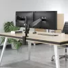 Manhattan soporte de escritorio doble para TV y monitores (resorte de gas con movimiento completo), para pantallas de 10 pulgadas a 27 pulgadas, montaje por abrazadera o pasamuros, compatibilidad VESA: 75x75 y 100x100 mm - comprueba las dimensiones de los cuatro orificios de montaje en la parte posterior de la pantalla para asegurarte de que encaja, máx. 8 kg (cada uno)