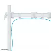 Neomounts NM-D135WHITE soporte de monitor 10-30 pulgadas, pinza/pasacables de mesa, 8 kg, 25,4 cm (10 pulgadas), 76,2 cm (30 pulgadas), 100 x 100 mm, blanco