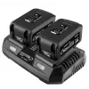 Graphite 58GE134 cargador de baterías