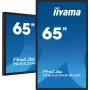 Pantalla plana de señalización digital iiyama TF6539AS-B1AG 64,5