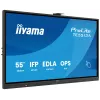 Monitor iiyama 55