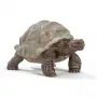 Figura, Schleich, WILD LIFE tortuga gigante