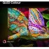 Hisense 50E77Q PRO Smart TV QLED 127 cm (50 pulgadas), 4K Ultra HD, 144 Hz, triple sintonizador, Dolby Vision, HDR10+, Wi-Fi, negro