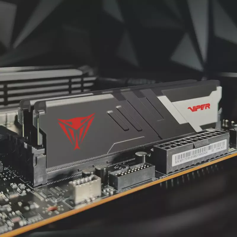 DIMM 32 GB DDR5-6200 (2x 16 GB) Dual-Kit, memoria negra, PVV532G620C40K, Viper Venom, INTEL XMP