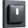 Detector de movimiento HomeMatic IP HmIP-SMI55-A antracita – montaje en pared/techo, marco 55