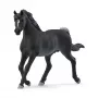 schleich HORSE CLUB semental árabe, 5 años, caballos, negro, gris, blanco, plástico