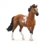 schleich HORSE CLUB semental Mangalarga Marchador, 5 años, caballos, negro, marrón, blanco, plástico
