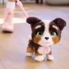 FurReal Walkalots cachorro bernedoodle, niño/niña, 4 años, con sonidos