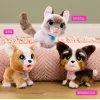 FurReal Poop-a-lots corgi, niño/niña, 4 años, con sonido