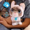 FurReal Wag-a-lots gatito, niño/niña, 4 años, con sonido FurReal Wag-a-lots gatito. Color del producto: multicolor