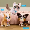 FurReal Wag-a-lots gatito, niño/niña, 4 años, con sonido FurReal Wag-a-lots gatito. Color del producto: multicolor