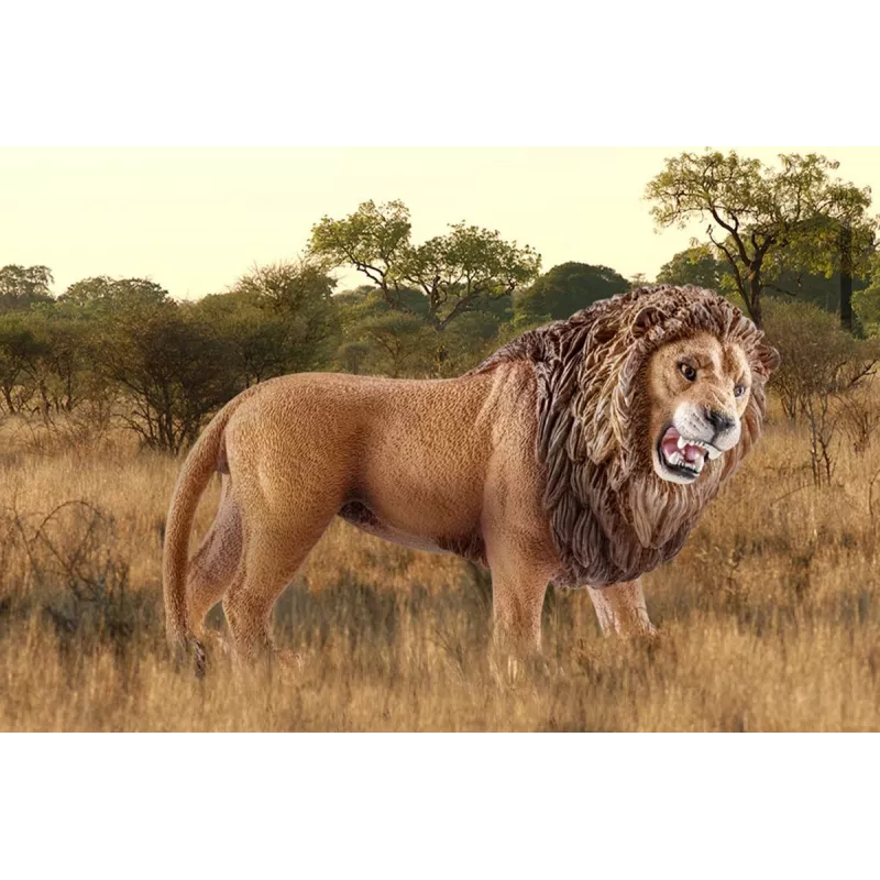 Schleich WILD LIFE león rugiente multicolor plástico a partir de 3 años