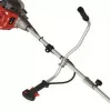 Desbrozadora Einhell 3436560