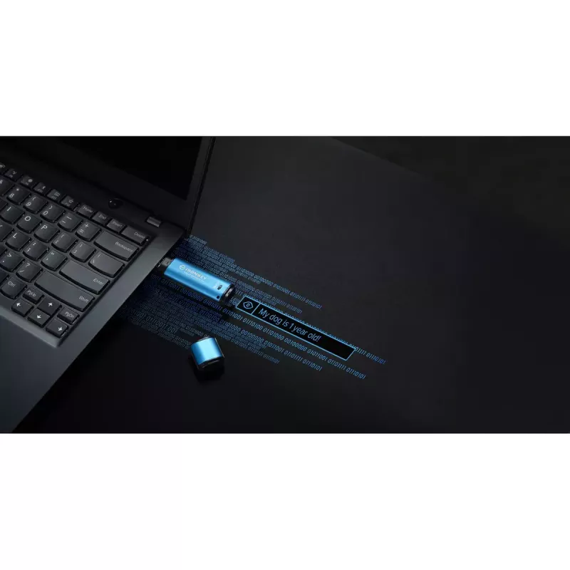 Memoria USB Kingston 256GB USB Type-A IronKey Vault Privacy 50