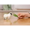 schleich Oveja de nariz negra del Valais, 3 años, granja, animales de granja / juguete de granja, negro, blanco, plástico