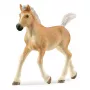 schleich HORSE CLUB potro Haflinger, 5 año(s), caballos, beige, marrón, plástico