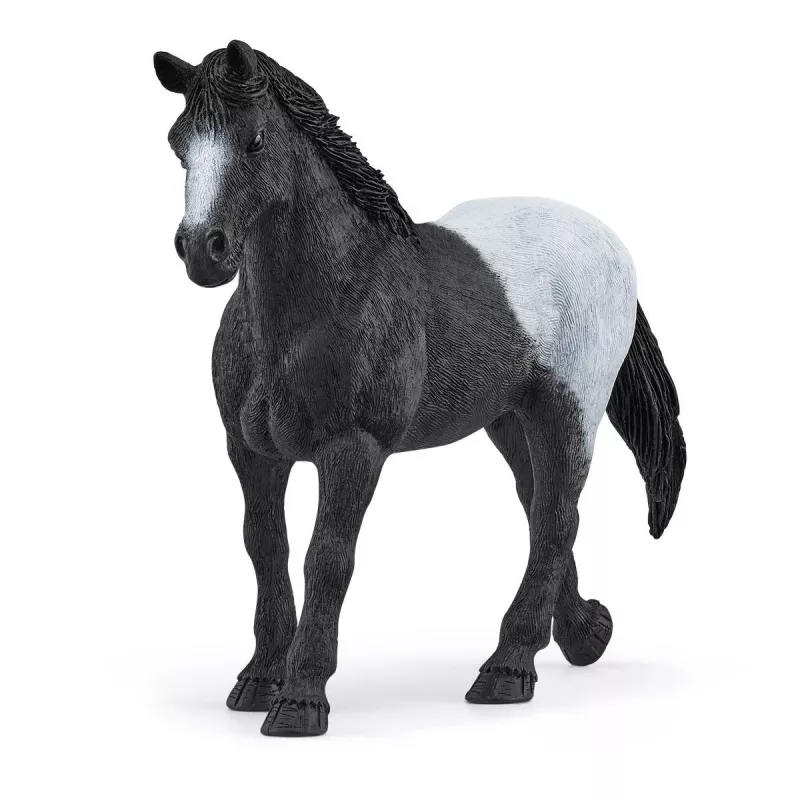 schleich HORSE CLUB box con yegua y potro, cuadra, caballos, 5 año(s), multicolor, plástico