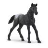 schleich HORSE CLUB box con yegua y potro, cuadra, caballos, 5 año(s), multicolor, plástico