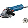 Bosch GWS 12-125 Professional amoladora angular 12,5 cm 11000 rpm 1200 W 2,2 kg