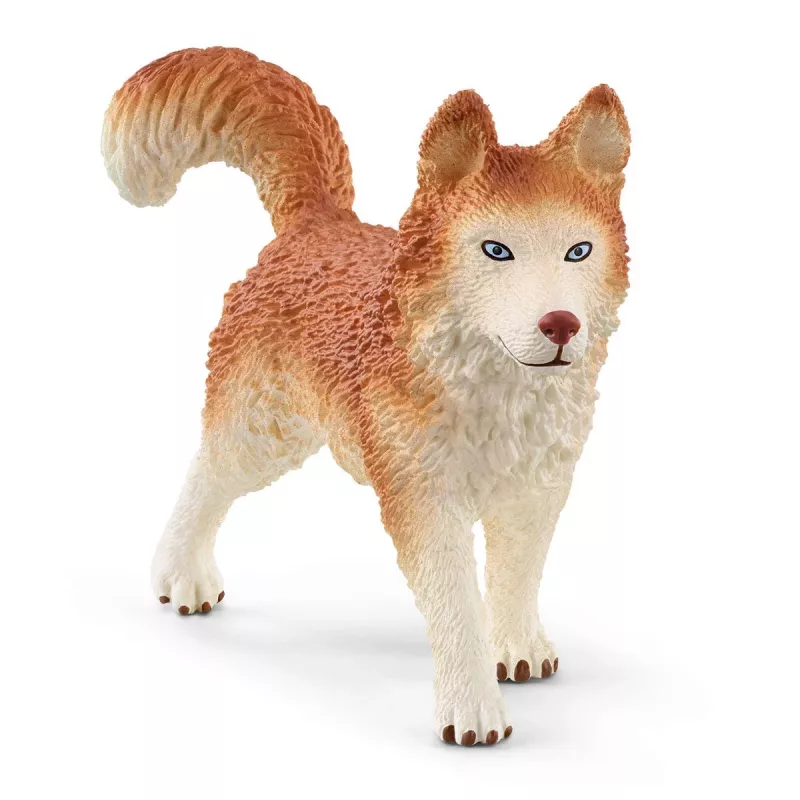 Zoo Schleich WILD LIFE expedición a la Antártida multicolor 42558