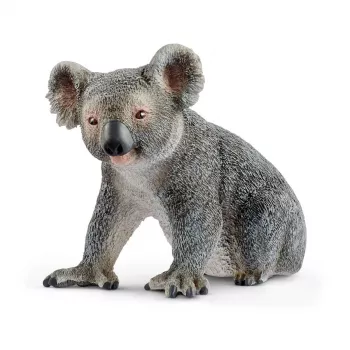 schleich WILD LIFE koala, 3 años, selva, animales salvajes / juguete de aventuras, multicolor, plástico, 1 unidad