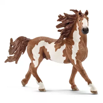schleich FARM WORLD semental pinto, 3 años, animales de granja / juguete de granja, caballos, multicolor, plástico, 1 unidad