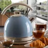 Ariete 2877 hervidor de agua Vintage, 1,7 l, inalámbrico, azul, 1,7 l, 2000 W, azul claro, indicador de nivel de agua, inalámbrico, filtración