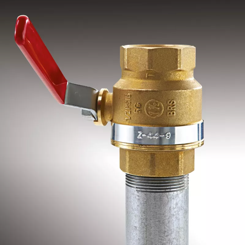 Impresora de etiquetas DYMO RHINO M1011 térmica directa