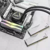 DIMM 64 GB DDR5-6000 (2x 32 GB) kit dual, memoria RAM blanca, AX5U6000C3032G-DCLARWH, Lancer RGB, INTEL XMP