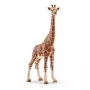 Figura, Schleich, WILD LIFE Jirafa, hembra