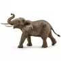schleich WILD LIFE Elefante africano, macho, 3 año(s), Safari, animales salvajes / juguete de aventuras, multicolor, plástico, 1 unidad