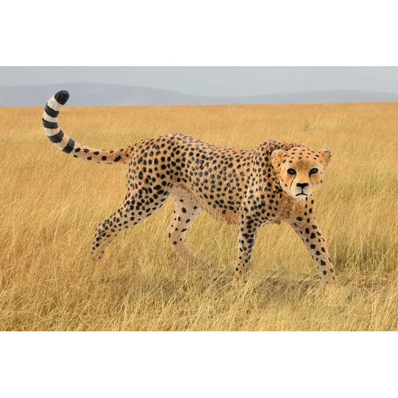 Figura Schleich WILD LIFE Guepardo hembra 14746