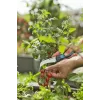 Gardena VeggieCut tijera de podar negra verde hojas de acero inoxidable