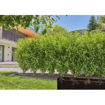 Sistema de riego por goteo Gardena 13500-20