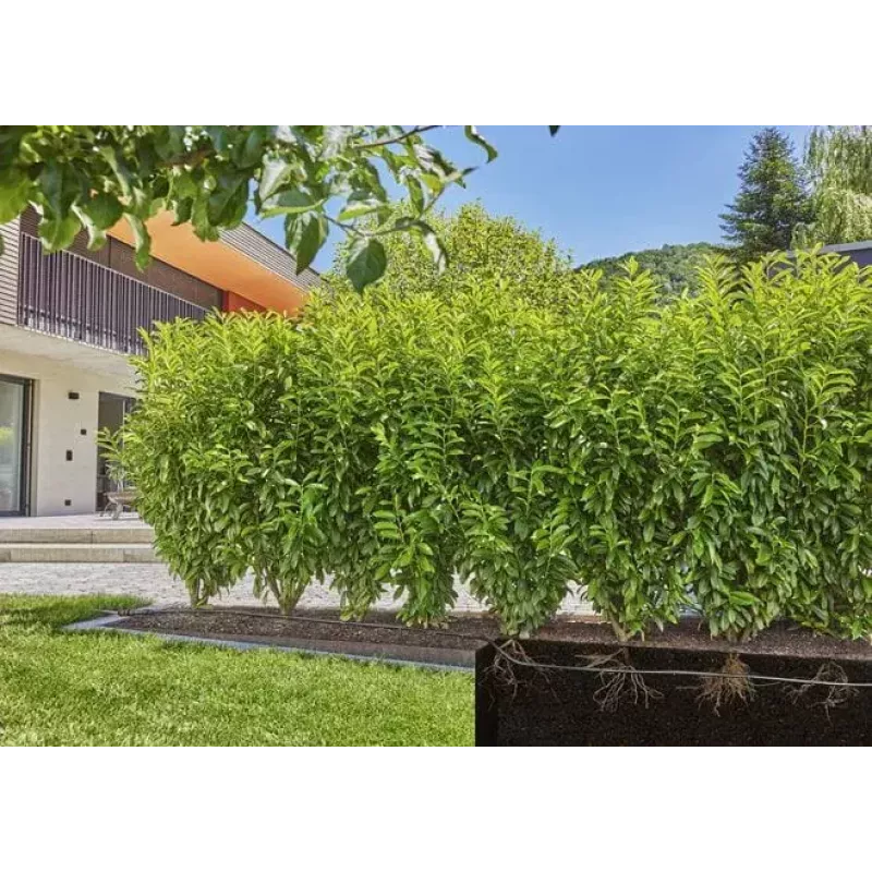 Sistema de riego por goteo Gardena 13500-20