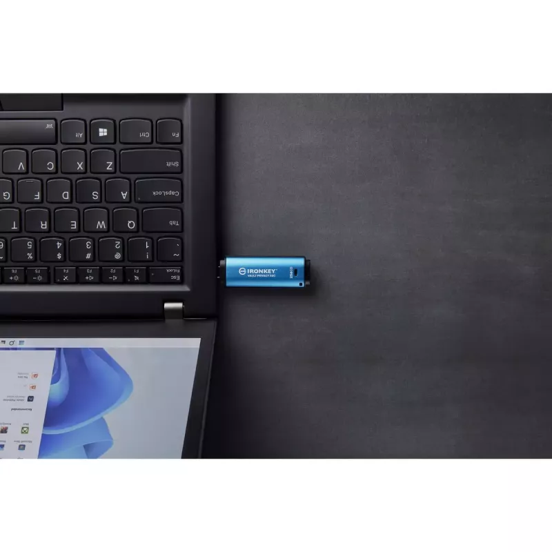 Kingston Technology IronKey 256 GB USB-C Vault Privacy 50C AES-256 cifrado, FIPS 197