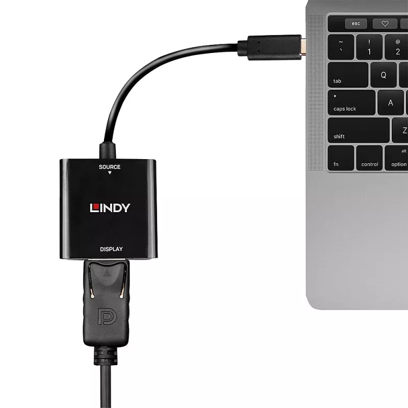 Convertidor Lindy USB Type-C a DisplayPort 4K144, USB Type-C, salida DisplayPort, 3840 x 2160 píxeles