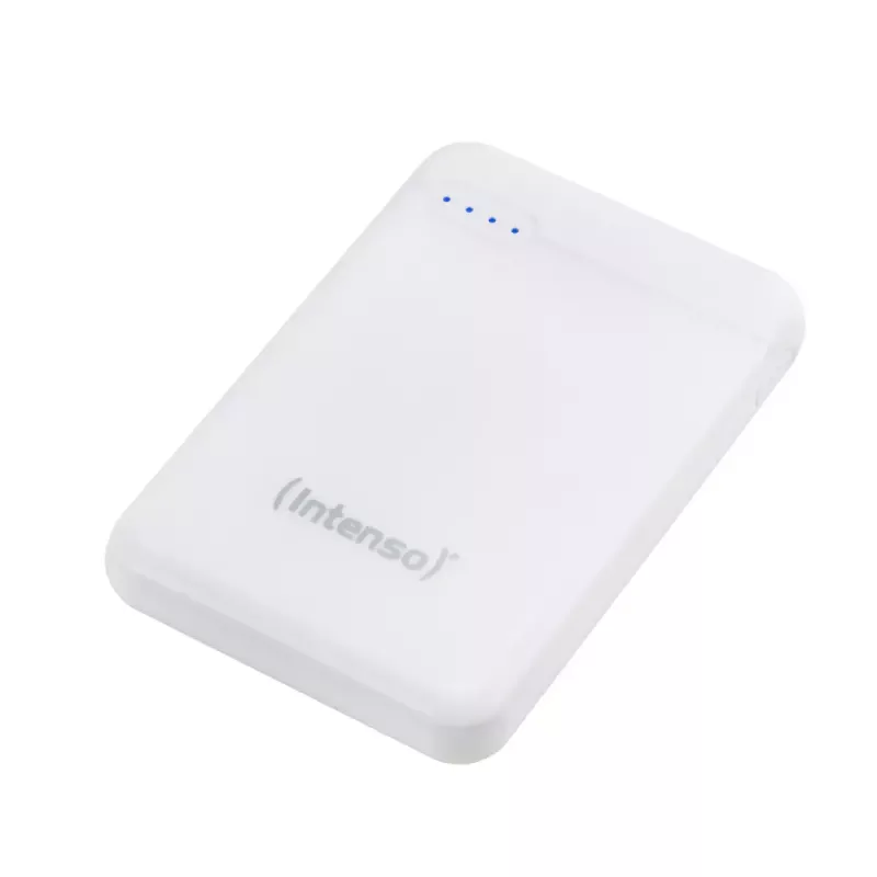 Intenso 7313522 batería externa polímero de litio 5000 mAh