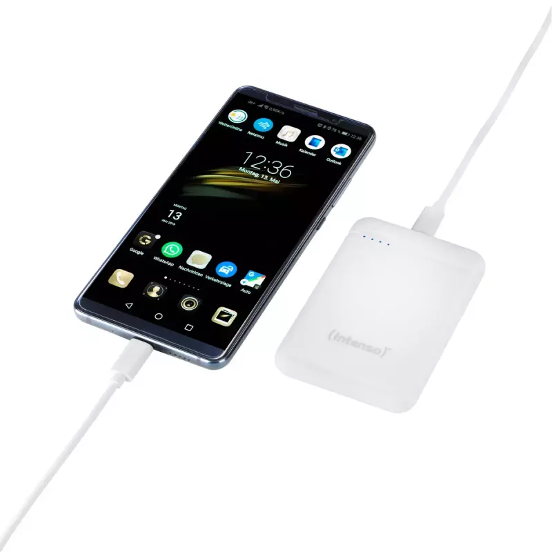 Intenso 7313522 batería externa polímero de litio 5000 mAh
