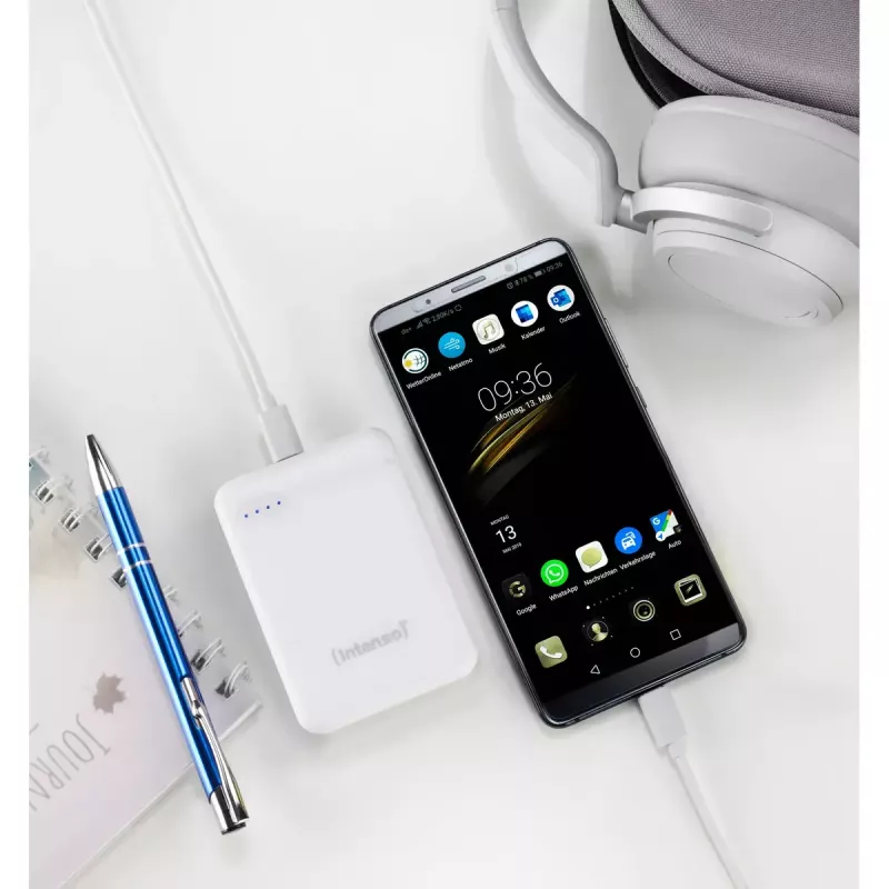 Intenso 7313522 batería externa polímero de litio 5000 mAh
