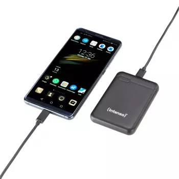 Intenso 7313520 batería externa 5000 mAh