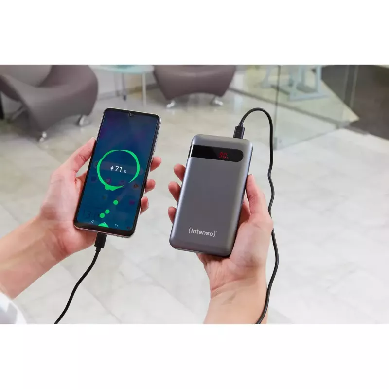Batería externa portátil Intenso PD10000 10000 mAh