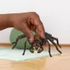 schleich Harry Potter Aragog, 6 año(s), Criaturas mágicas, Negro, Marrón, Blanco, Plástico