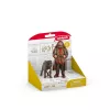 schleich Hagrid y Fang, 6 años, Harry Potter™, Multicolor, Plástico